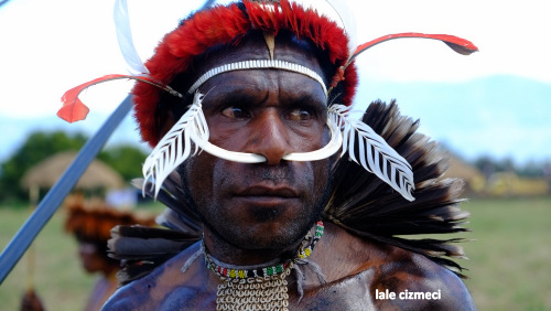 Dani kabilesi, Baliem Vadisi festivali